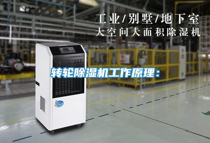 轉輪小黄片软件免费下载工作原理：