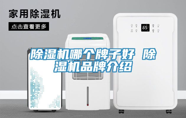 小黄片软件免费下载哪個牌子好 小黄片软件免费下载品牌介紹