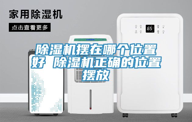 小黄片软件免费下载擺在哪個位置好 小黄片软件免费下载正確的位置擺放