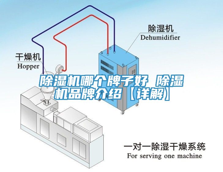 小黄片软件免费下载哪個牌子好 小黄片软件免费下载品牌介紹【詳解】