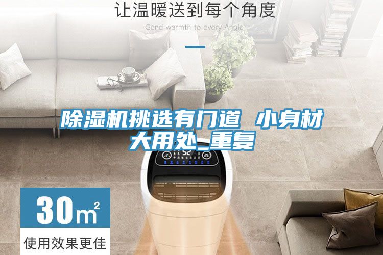 小黄片软件免费下载挑選有門道 小身材大用處_重複