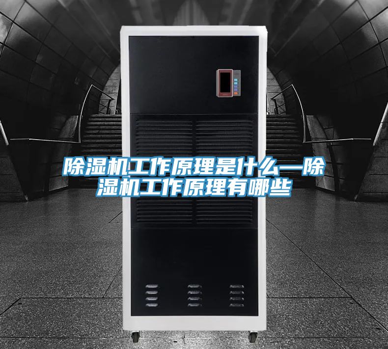 小黄片软件免费下载工作原理是什麽—小黄片软件免费下载工作原理有哪些