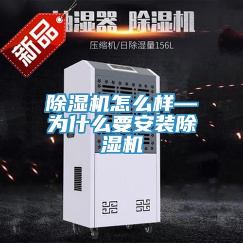 小黄片软件免费下载怎麽樣—為什麽要安裝小黄片软件免费下载