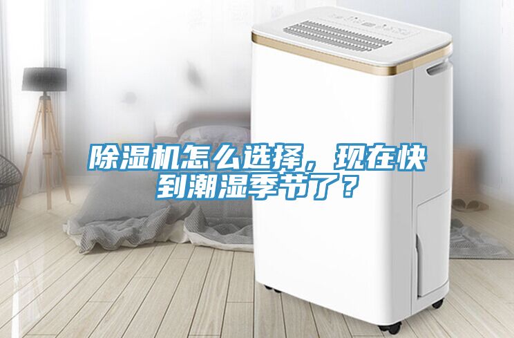 小黄片软件免费下载怎麽選擇，現在快到潮濕季節了？