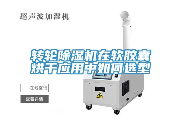 轉輪小黄片软件免费下载在軟膠囊烘幹應用中如何選型