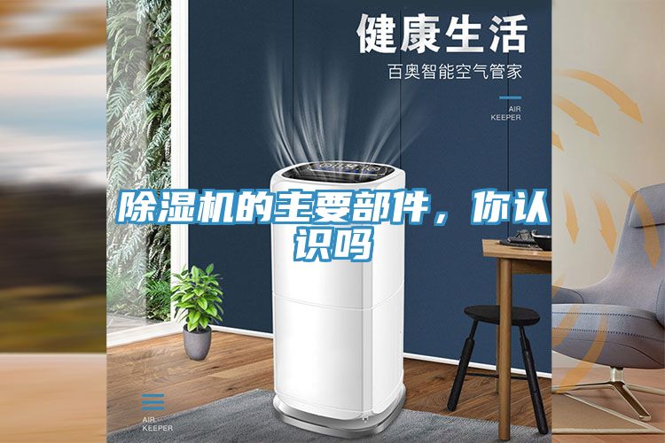 小黄片软件免费下载的主要部件，你認識嗎