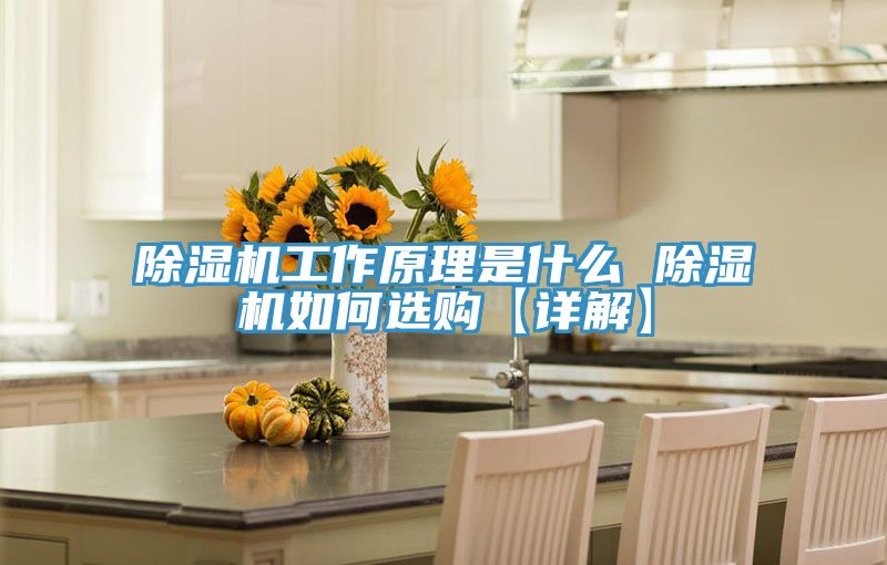 小黄片软件免费下载工作原理是什麽 小黄片软件免费下载如何選購【詳解】
