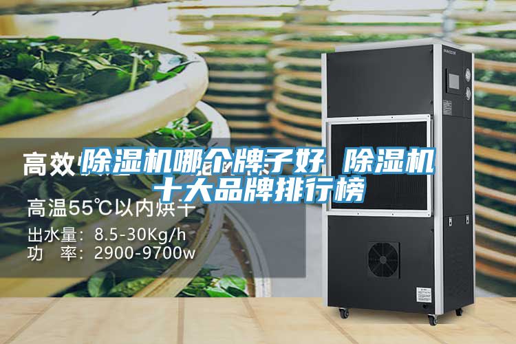 小黄片软件免费下载哪個牌子好 小黄片软件免费下载十大品牌排行榜