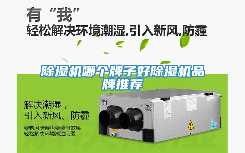 小黄片软件免费下载哪個牌子好小黄片软件免费下载品牌推薦