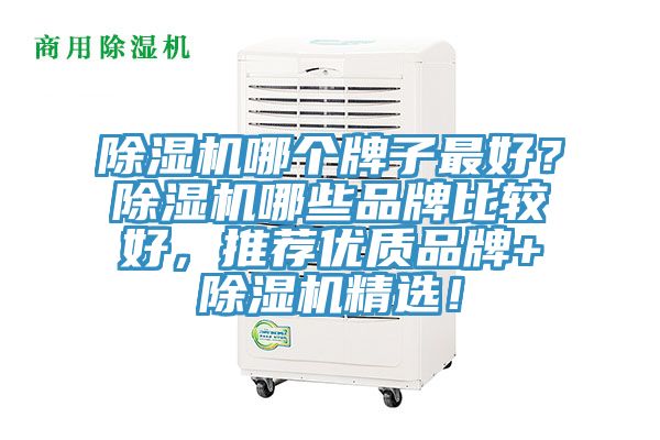 小黄片软件免费下载哪個牌子最好？小黄片软件免费下载哪些品牌比較好，推薦優質品牌+小黄片软件免费下载精選！
