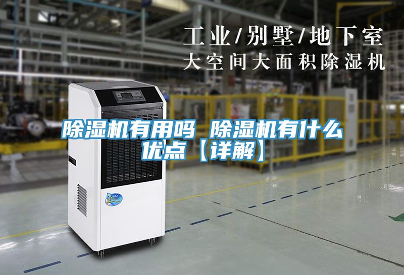 小黄片软件免费下载有用嗎 小黄片软件免费下载有什麽優點【詳解】