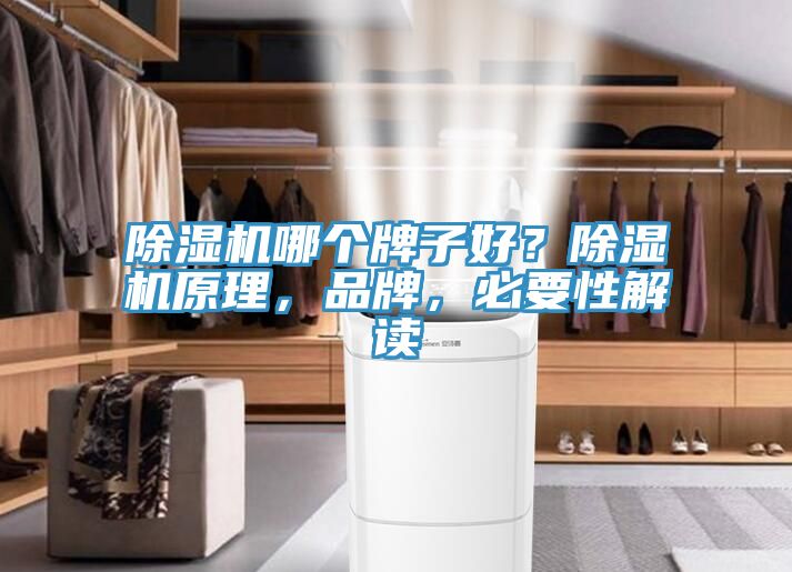 小黄片软件免费下载哪個牌子好？小黄片软件免费下载原理，品牌，必要性解讀
