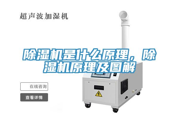 小黄片软件免费下载是什麽原理，小黄片软件免费下载原理及圖解
