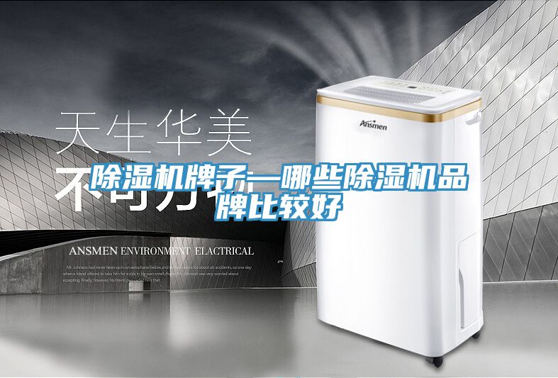 小黄片软件免费下载牌子—哪些小黄片软件免费下载品牌比較好