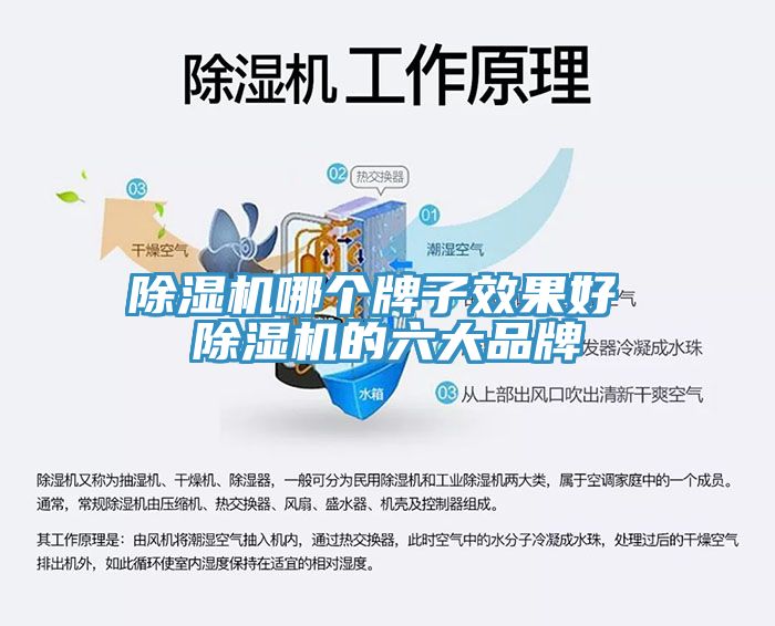 小黄片软件免费下载哪個牌子效果好 小黄片软件免费下载的六大品牌