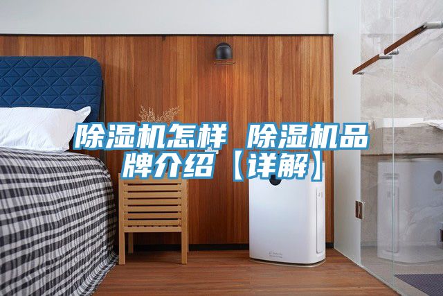 小黄片软件免费下载怎樣 小黄片软件免费下载品牌介紹【詳解】