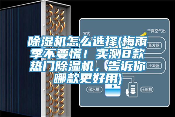 小黄片软件免费下载怎麽選擇(梅雨季不要慌！實測8款熱門小黄片软件免费下载，告訴你哪款更好用)