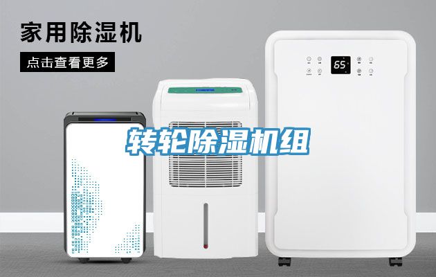 轉輪小黄片软件免费下载組