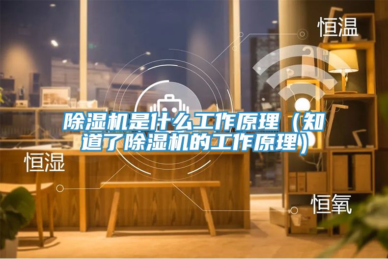 小黄片软件免费下载是什麽工作原理（知道了小黄片软件免费下载的工作原理）