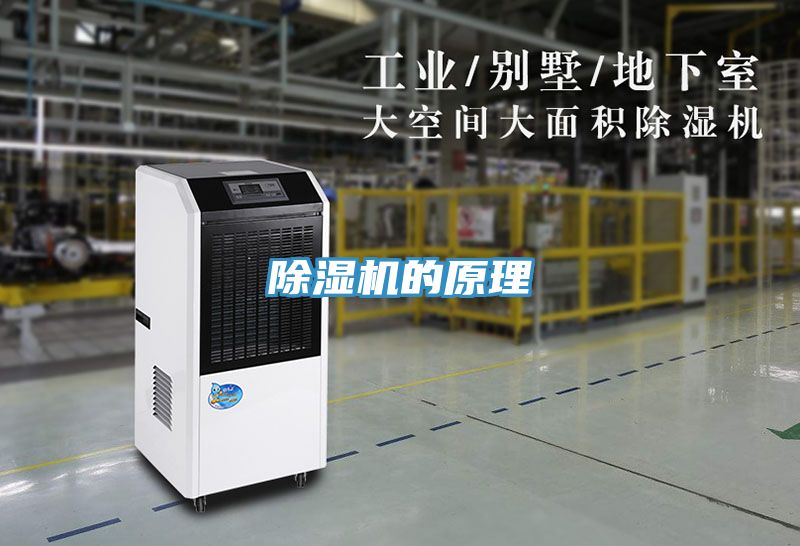 小黄片软件免费下载的原理