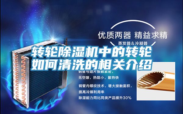 轉輪小黄片软件免费下载中的轉輪如何清洗的相關介紹