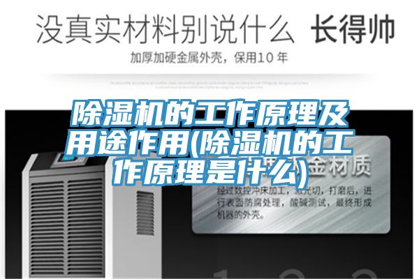 小黄片软件免费下载的工作原理及用途作用(小黄片软件免费下载的工作原理是什麽)