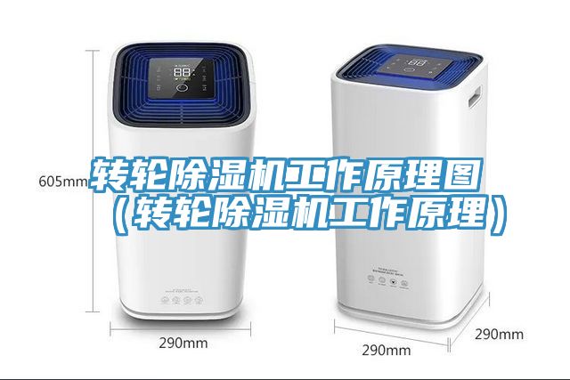 轉輪小黄片软件免费下载工作原理圖（轉輪小黄片软件免费下载工作原理）