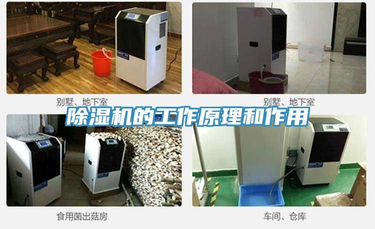 小黄片软件免费下载的工作原理和作用