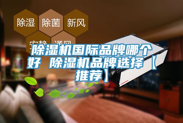 小黄片软件免费下载國際品牌哪個好 小黄片软件免费下载品牌選擇【推薦】