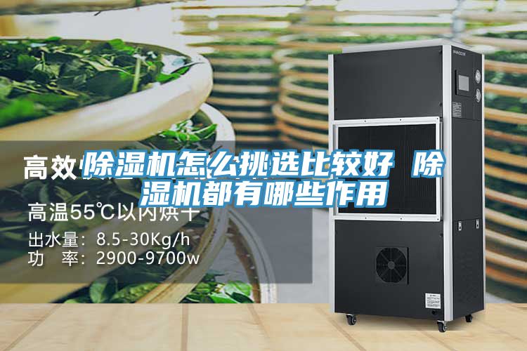 小黄片软件免费下载怎麽挑選比較好 小黄片软件免费下载都有哪些作用
