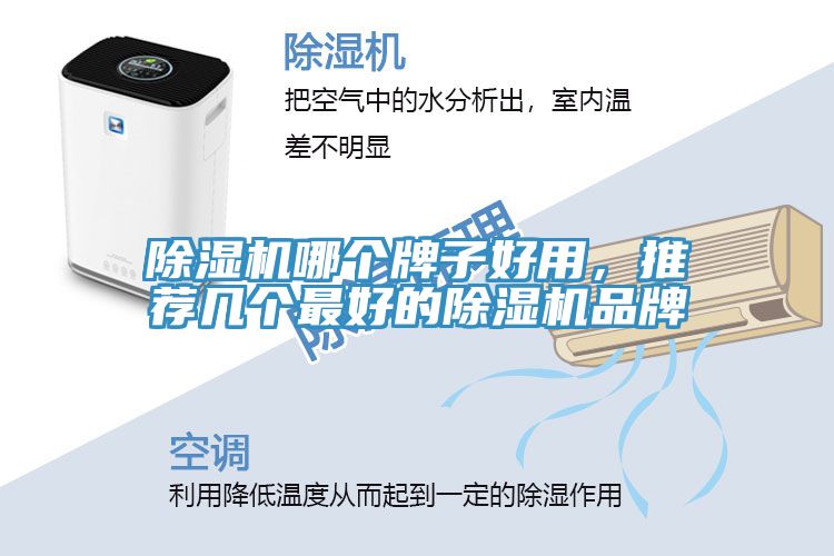 小黄片软件免费下载哪個牌子好用，推薦幾個最好的小黄片软件免费下载品牌
