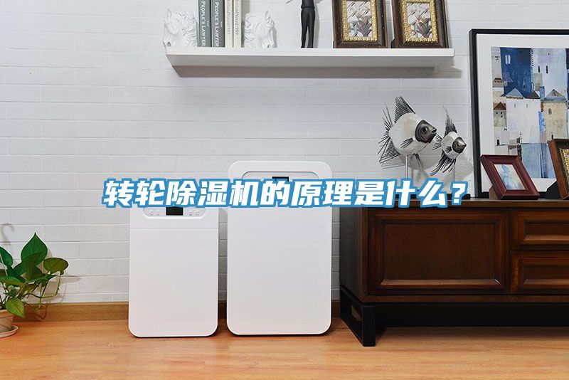 轉輪小黄片软件免费下载的原理是什麽？