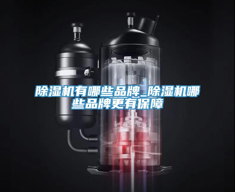 小黄片软件免费下载有哪些品牌_小黄片软件免费下载哪些品牌更有保障