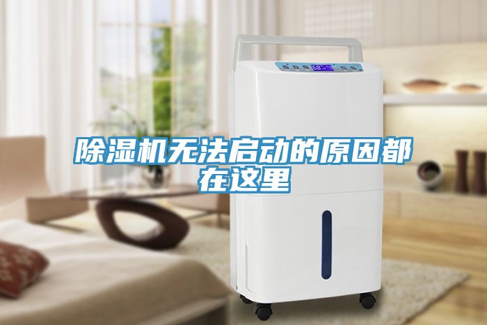 小黄片软件免费下载無法啟動的原因都在這裏