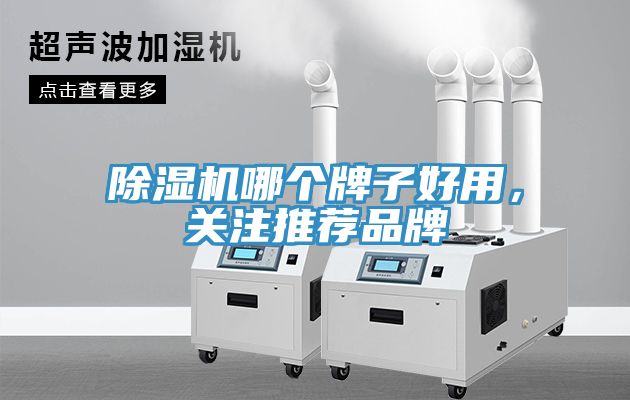 小黄片软件免费下载哪個牌子好用，關注推薦品牌