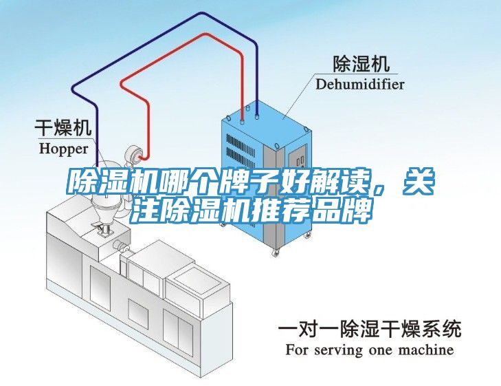 小黄片软件免费下载哪個牌子好解讀，關注小黄片软件免费下载推薦品牌