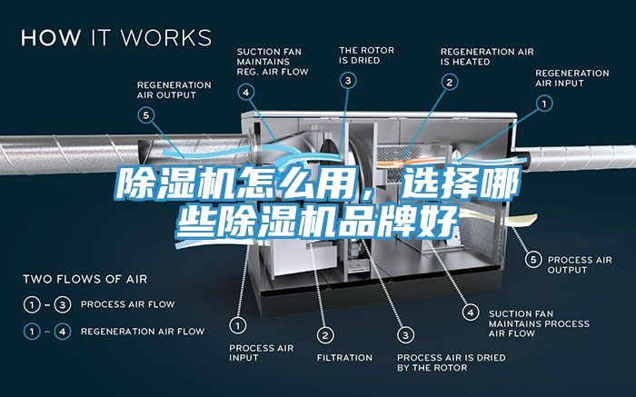 小黄片软件免费下载怎麽用，選擇哪些小黄片软件免费下载品牌好
