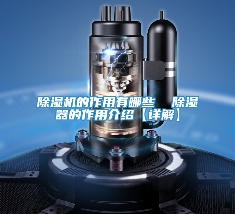 小黄片软件免费下载的作用有哪些  除濕器的作用介紹【詳解】