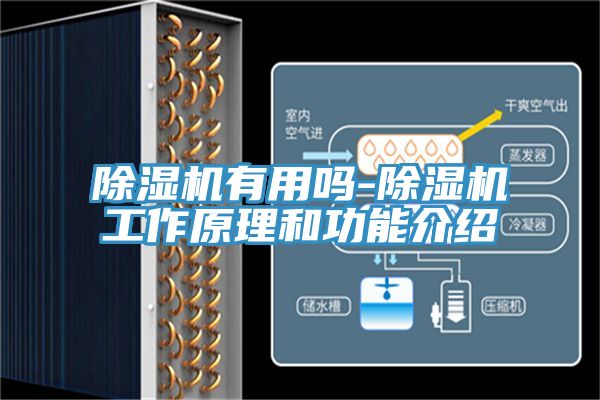 小黄片软件免费下载有用嗎-小黄片软件免费下载工作原理和功能介紹