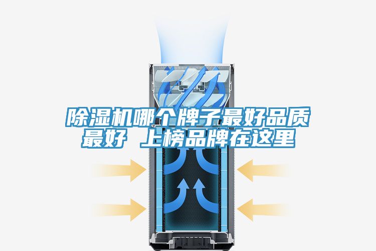 小黄片软件免费下载哪個牌子最好品質最好 上榜品牌在這裏