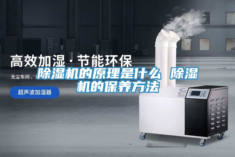 小黄片软件免费下载的原理是什麽 小黄片软件免费下载的保養方法