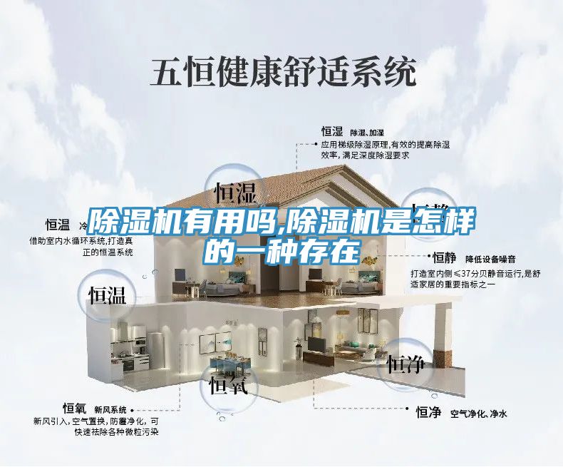 小黄片软件免费下载有用嗎,小黄片软件免费下载是怎樣的一種存在