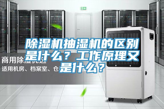 小黄片软件免费下载抽濕機的區別是什麽？工作原理又是什麽？
