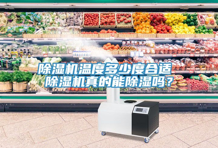 小黄片软件免费下载溫度多少度合適 小黄片软件免费下载真的能除濕嗎？