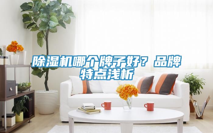 小黄片软件免费下载哪個牌子好？品牌特點淺析