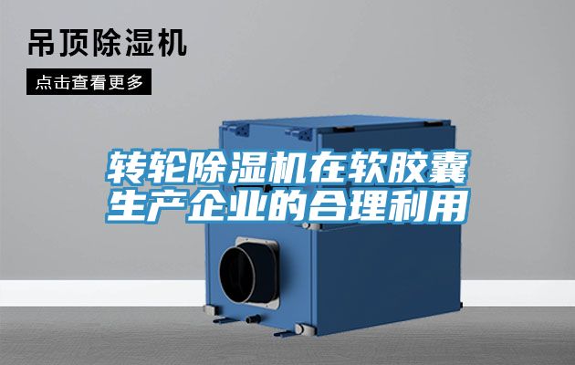 轉輪小黄片软件免费下载在軟膠囊生產企業的合理利用