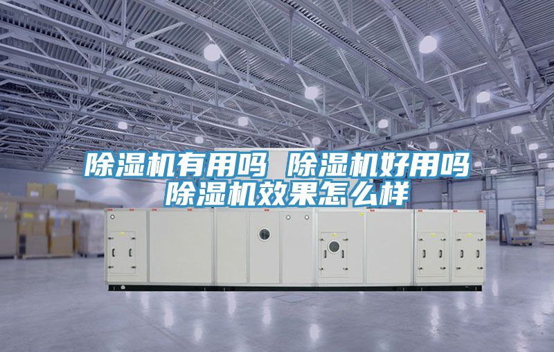 小黄片软件免费下载有用嗎 小黄片软件免费下载好用嗎 小黄片软件免费下载效果怎麽樣