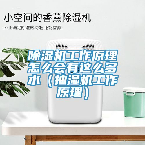 小黄片软件免费下载工作原理怎麽會有這麽多水（抽濕機工作原理）