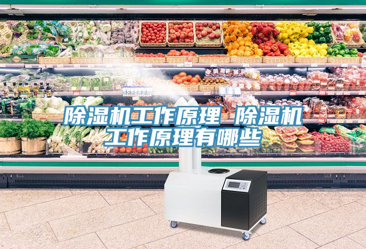 小黄片软件免费下载工作原理 小黄片软件免费下载工作原理有哪些