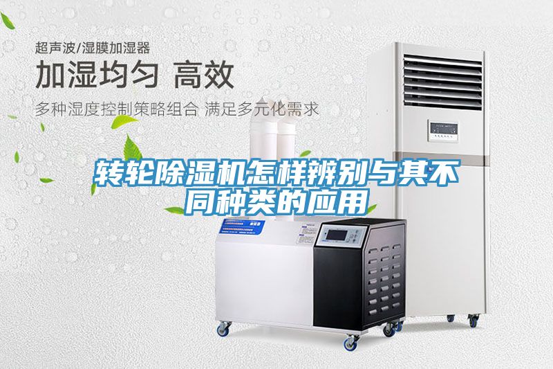 轉輪小黄片软件免费下载怎樣辨別與其不同種類的應用